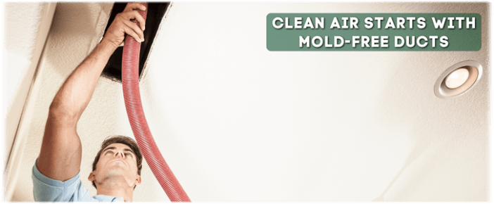 Air Duct Mold Removal in Redondo Beach