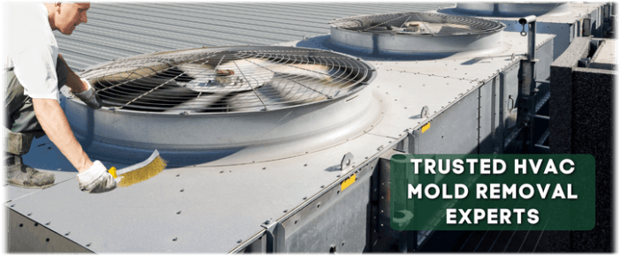 HVAC Mold Removal Redondo Beach